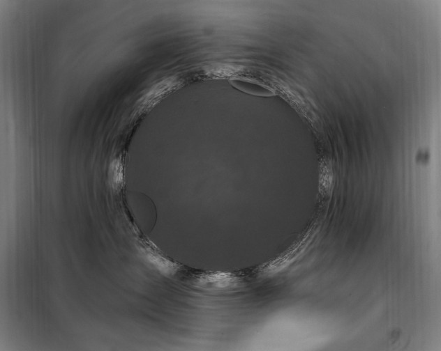 X0000097990431200804021012