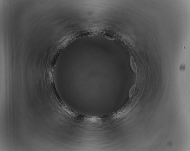 X0000097990432200804021012