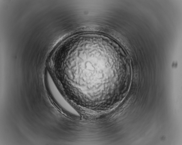 X0000097990434200804021012