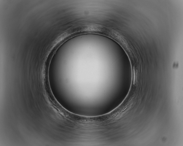 X0000097990435200804021012