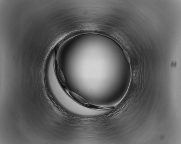 X0000097990436200804021012