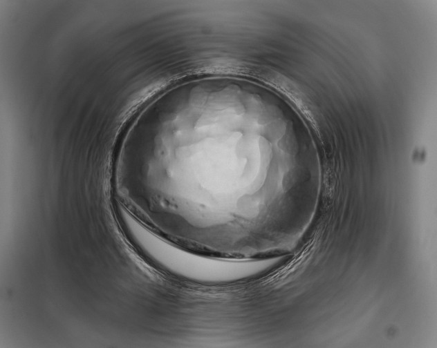 X0000097990437200804021012