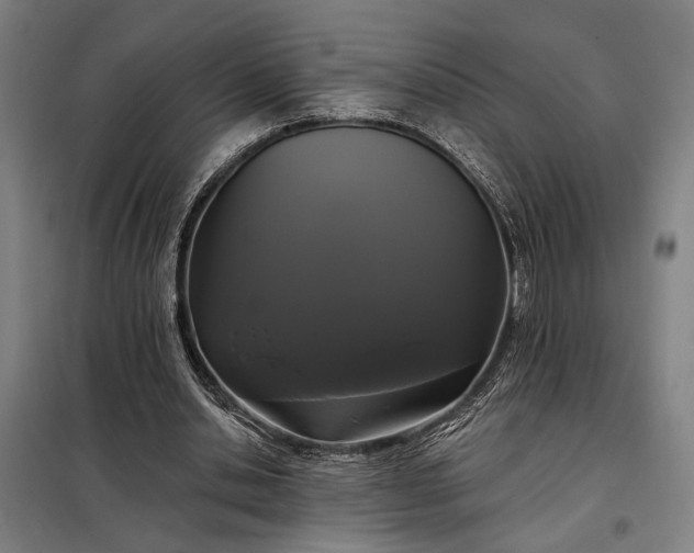 X0000097990438200804021012