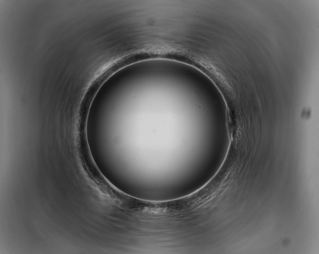 X0000097990440200804021012