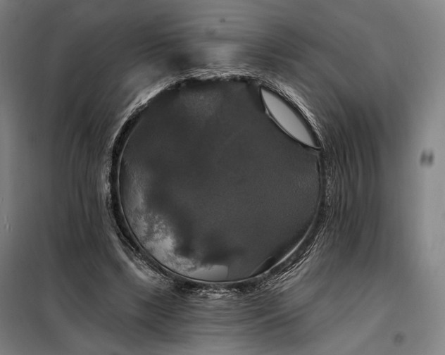 X0000097990443200804021012