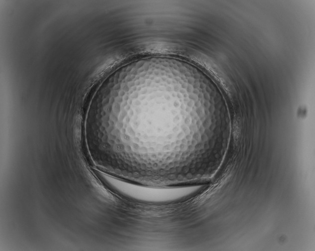 X0000097990445200804021012