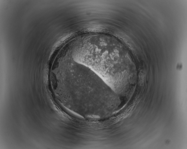 X0000097990446200804021012