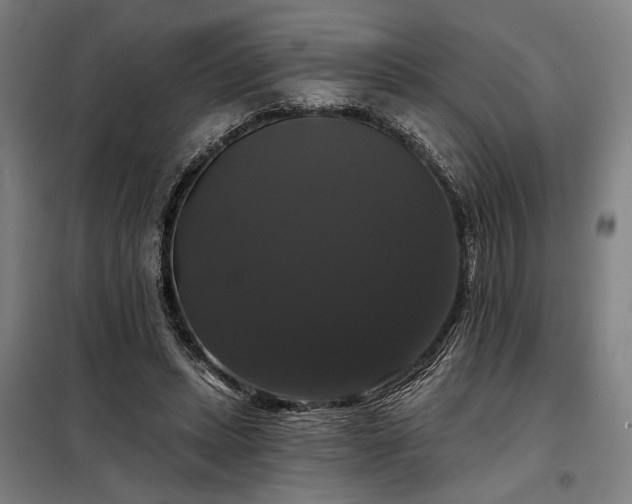 X0000097990447200804021012