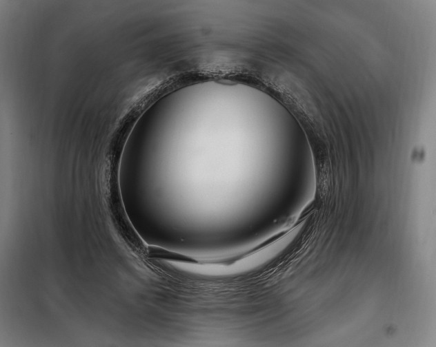 X0000097990448200804021012