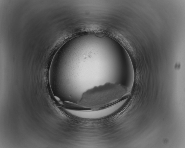 X0000097990449200804021012