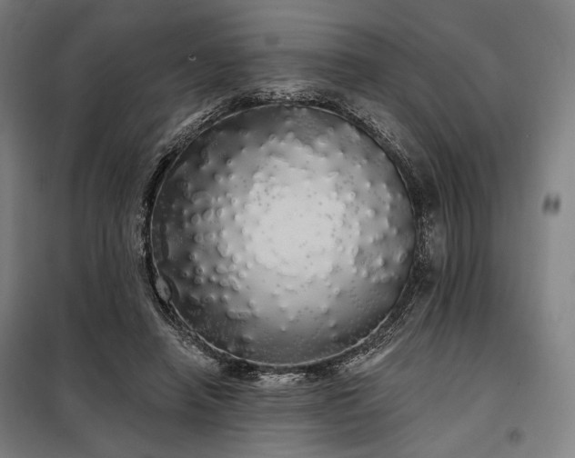 X0000097990450200804021012