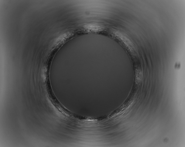 X0000097990451200804021012