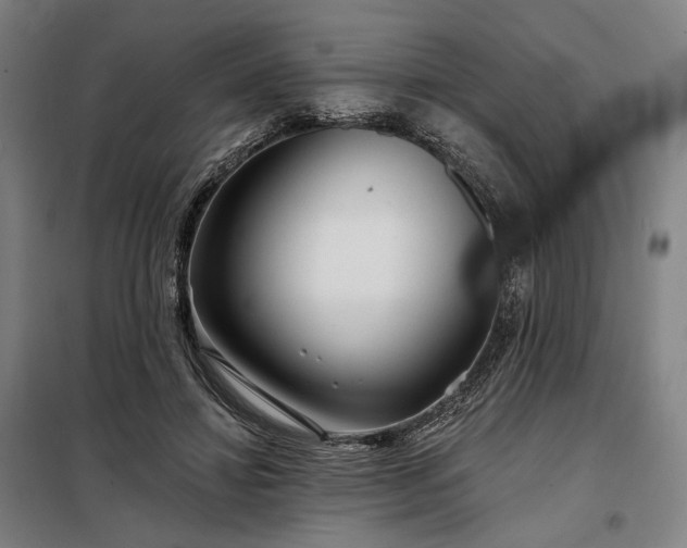 X0000097990452200804021012