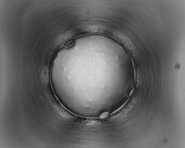 X0000097990453200804021012