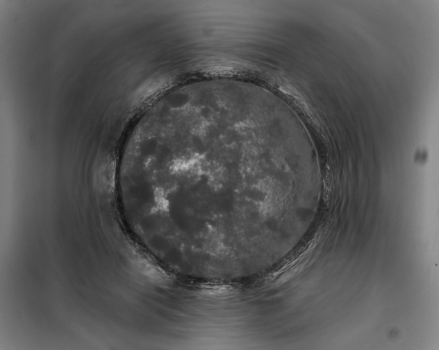 X0000097990454200804021012