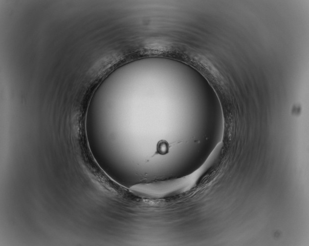 X0000097990455200804021012