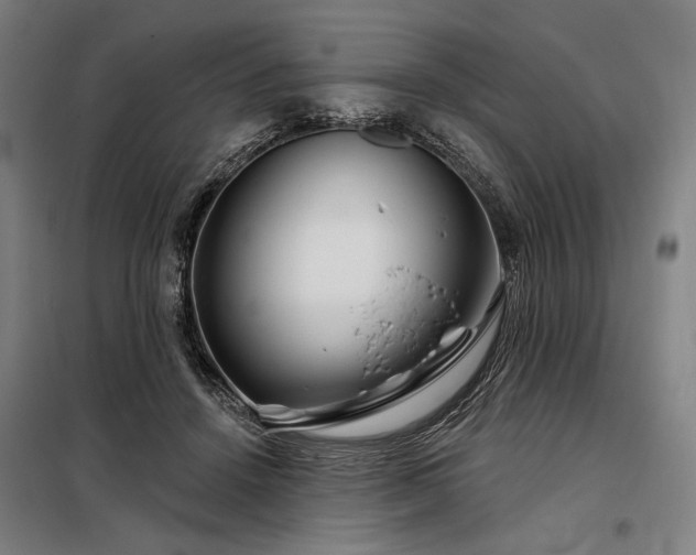 X0000097990456200804021012