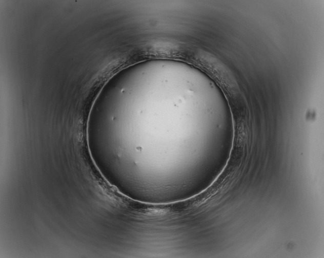 X0000097990457200804021012