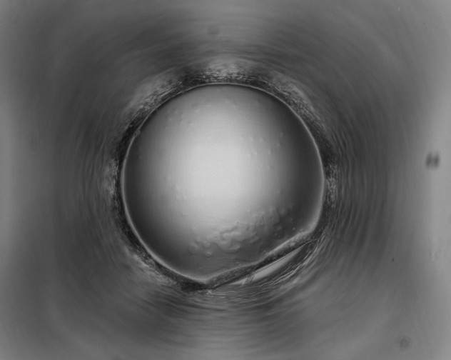 X0000097990458200804021012