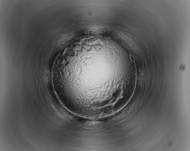 X0000097990459200804021012