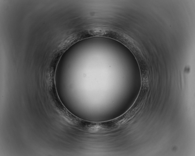 X0000097990460200804021012