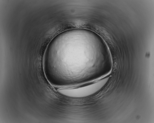 X0000097990461200804021012