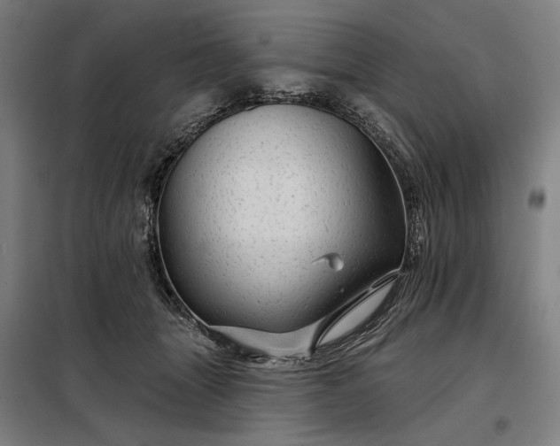 X0000097990463200804021012