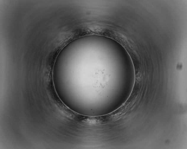 X0000097990464200804021012