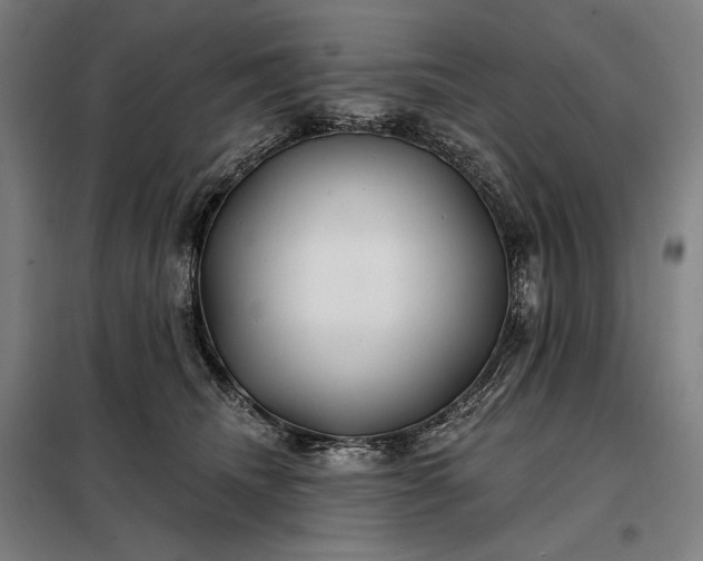 X0000097990468200804021012