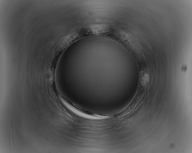 X0000097990471200804021012