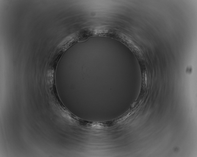 X0000097990475200804021012