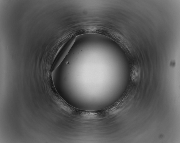 X0000097990476200804021012