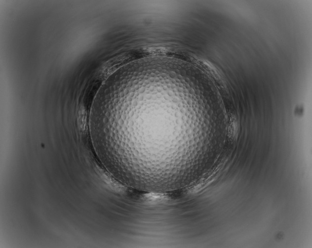 X0000097990477200804021012