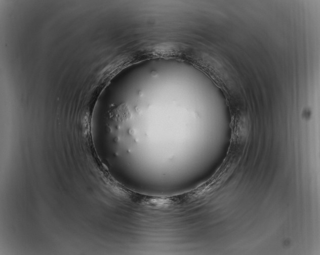 X0000097990478200804021012
