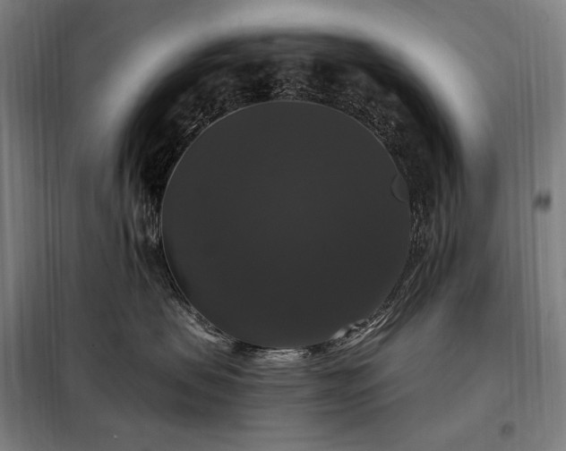 X0000097990479200804021012