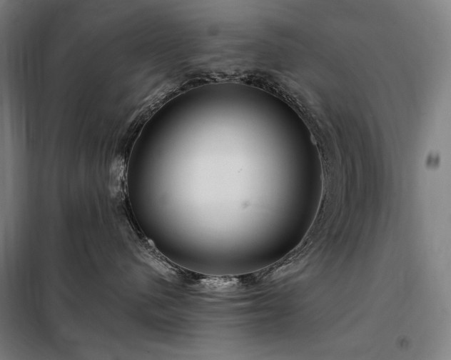 X0000097990480200804021012