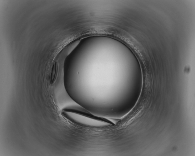 X0000097990481200804021012