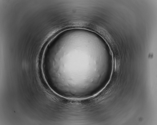 X0000097990483200804021012