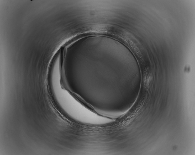 X0000097990484200804021012