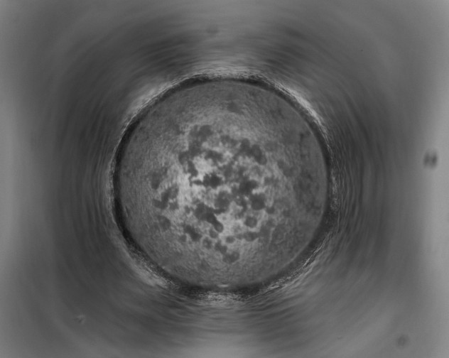 X0000097990487200804021012