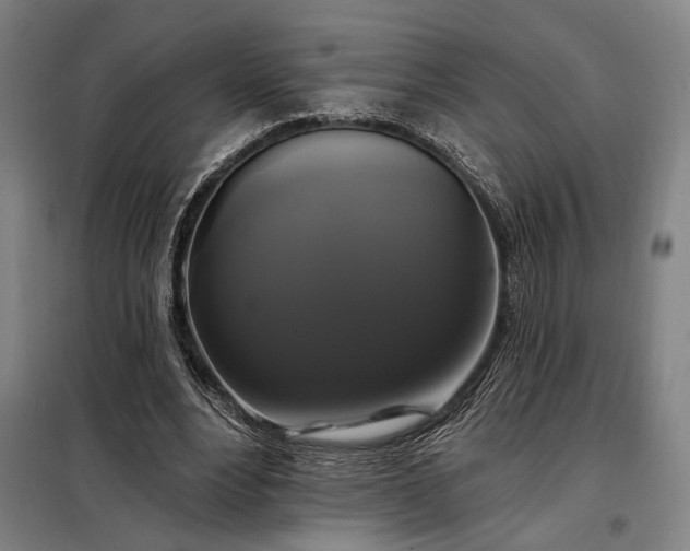 X0000097990488200804021012