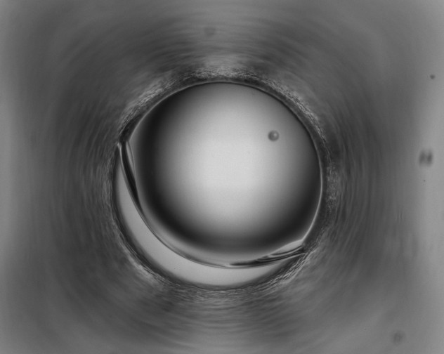 X0000097990489200804021012