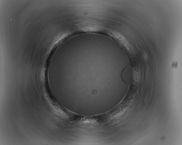 X0000097990491200804021012