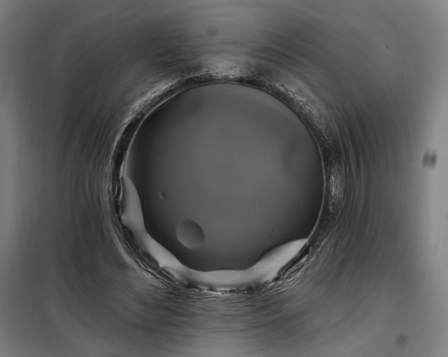X0000097990492200804021012