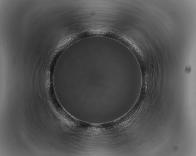 X0000097990494200804021011