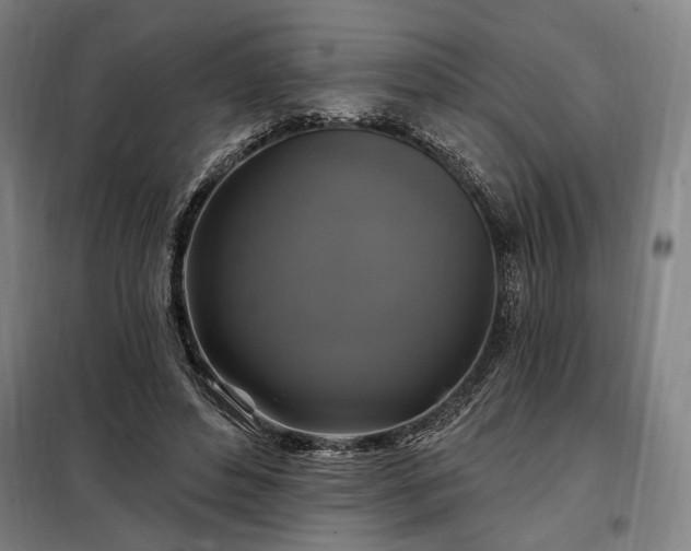 X0000097990496200804021011