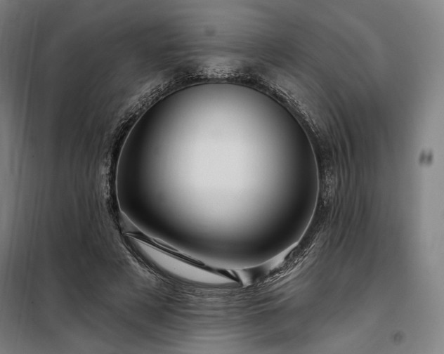 X0000097990497200804021011