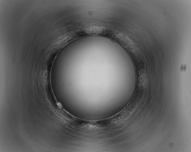 X0000097990498200804021011