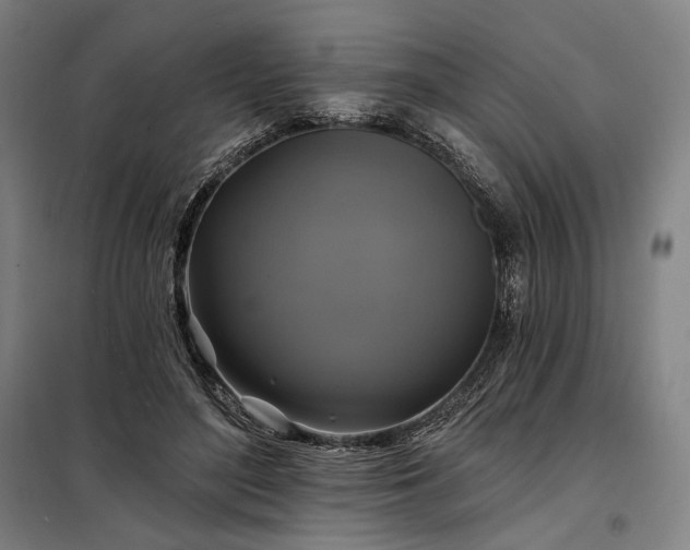 X0000097990500200804021011