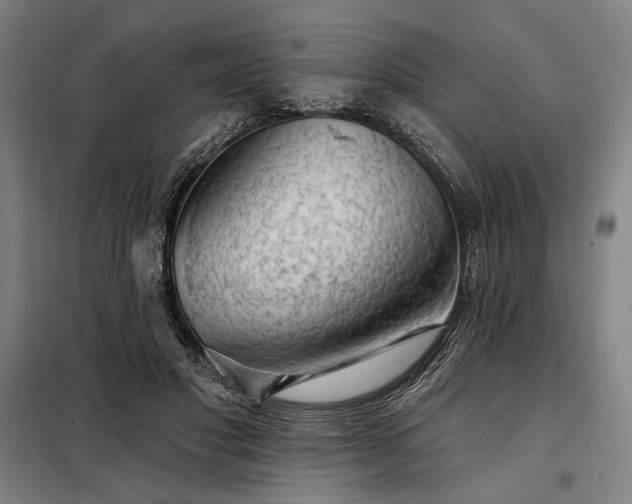 X0000097990501200804021011